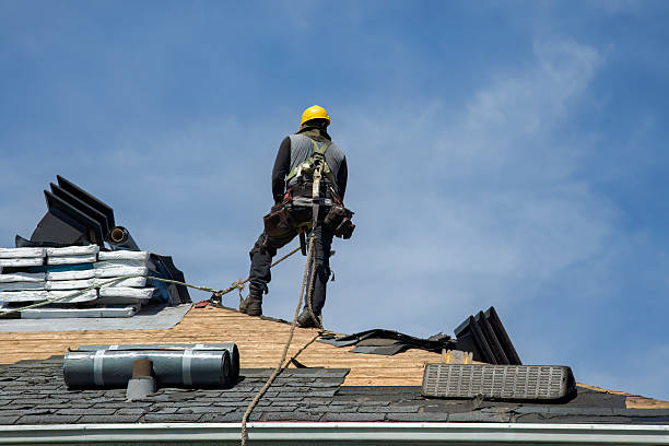 Professional Roofing technician working in Humansville, MO